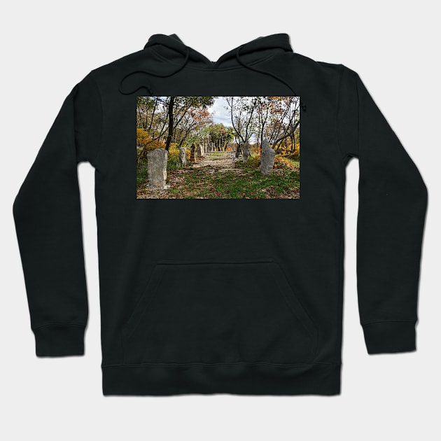 World War One Walk in the Carso Hoodie by jojobob